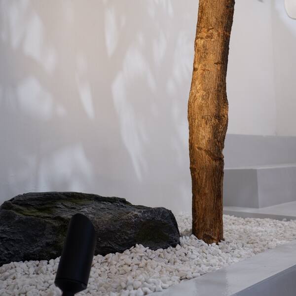 Shophouse indoor maple detail — Aqara Singapore Experience Centre