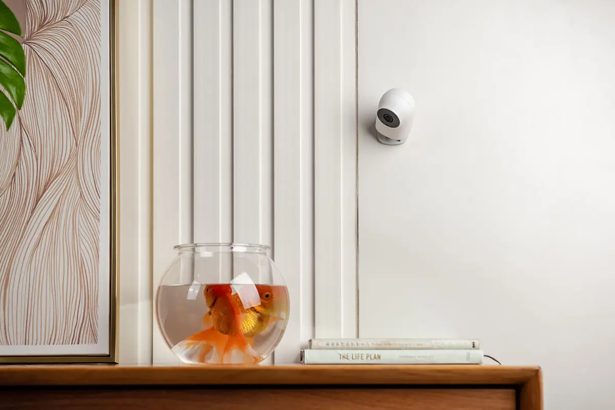 Aqara Camera Hub G2H Pro mounted on a wall beside a framed print and a fishbowl in a bright home