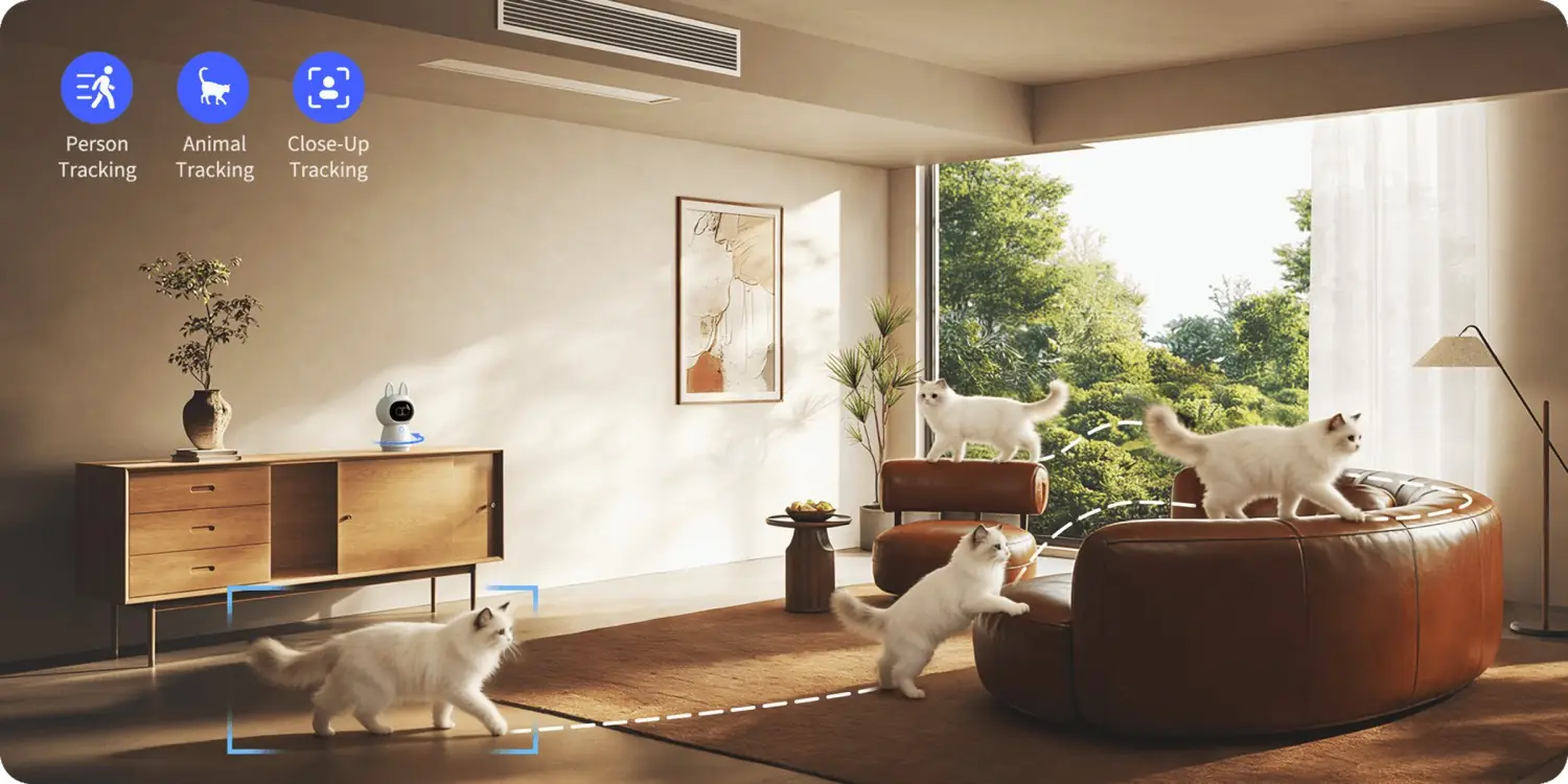 The G350 tracking cats moving across a bright living room