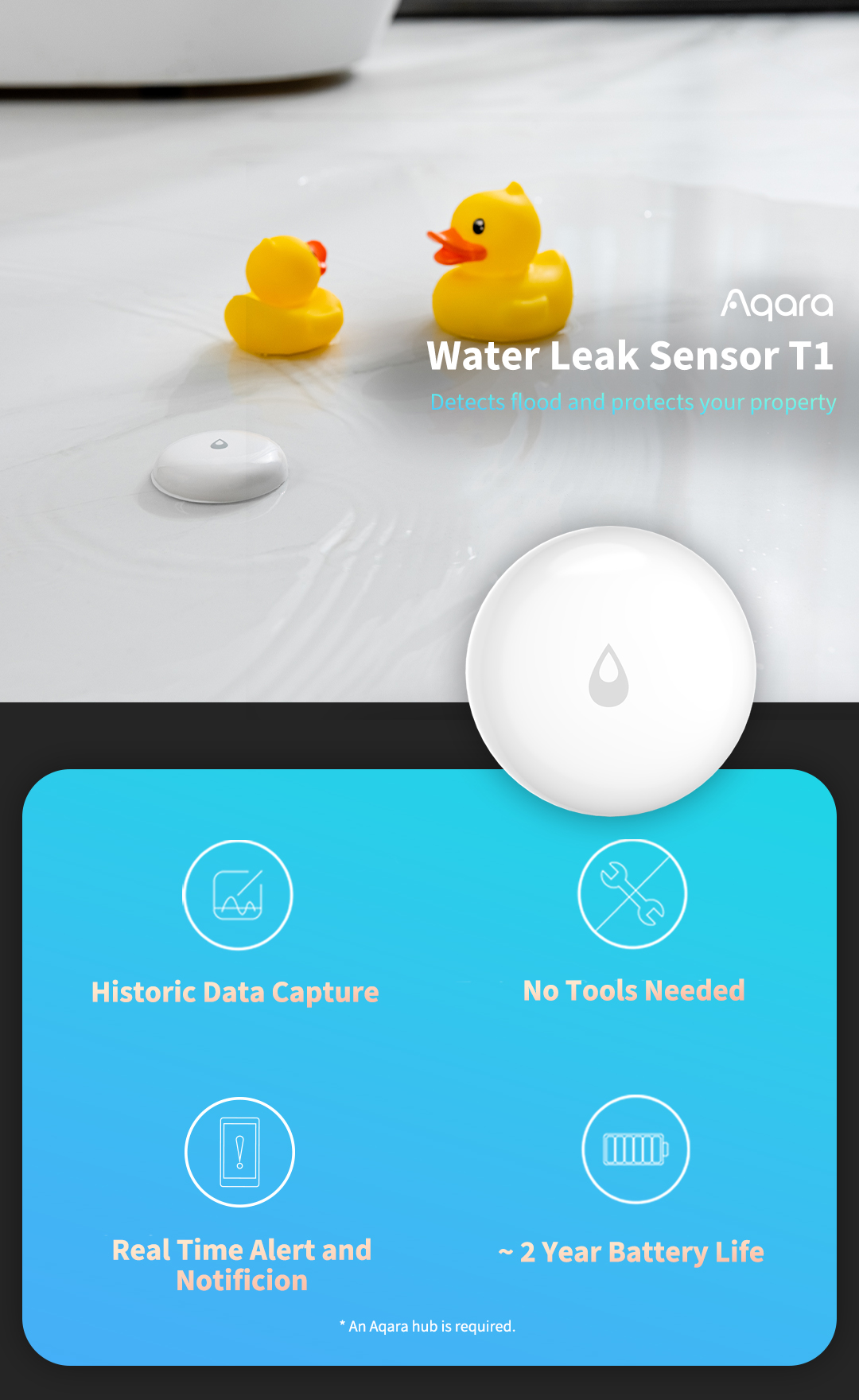 Water Leak Sensor T1
