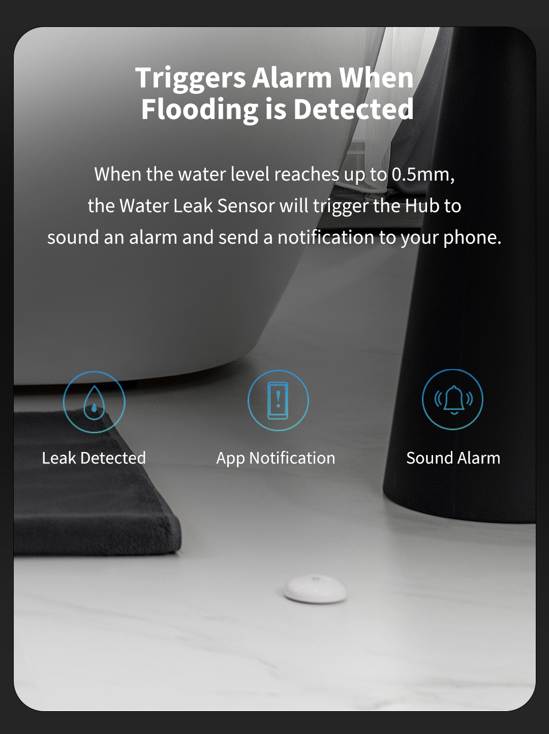 Water Leak Sensor T1
