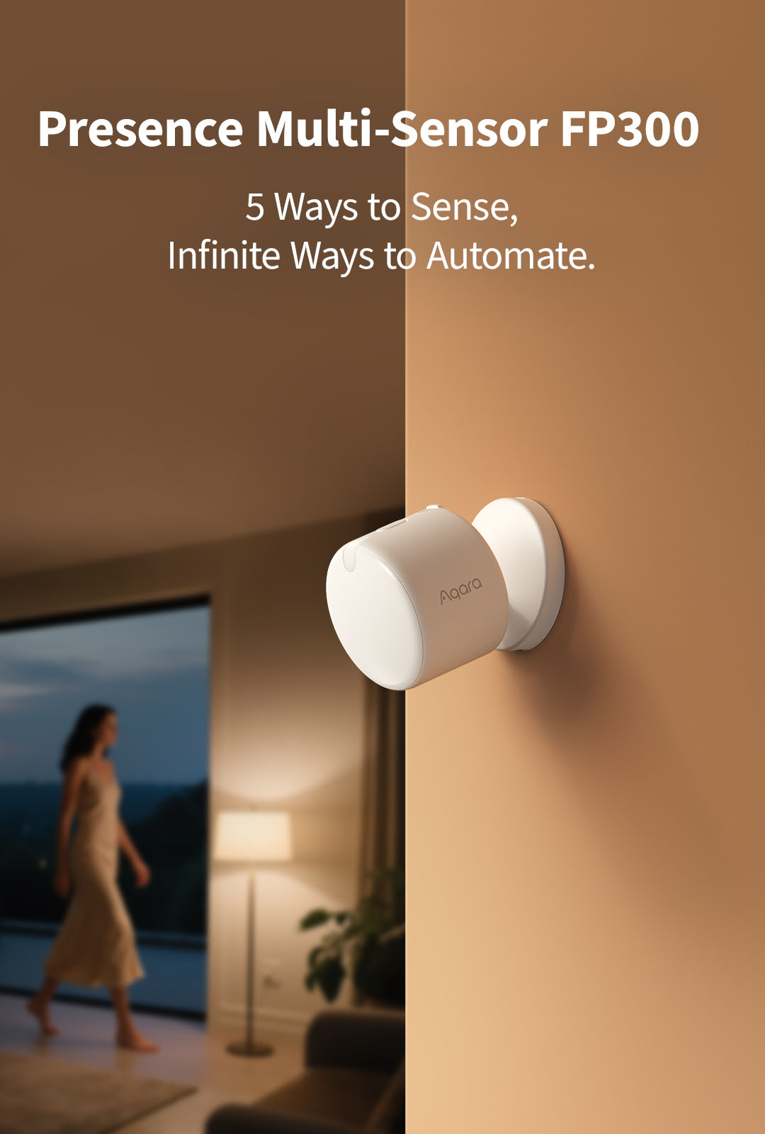 1. introduction fp300