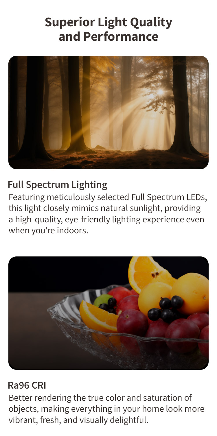 3. T2 Pro superior light quality and performance